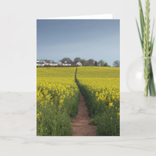 Cartão do trajeto da semente oleaginosa