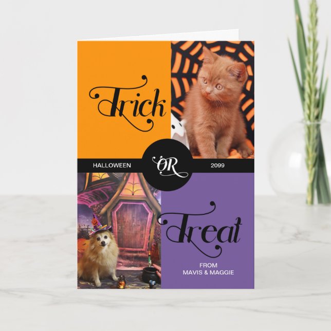 Cartão Do Truque de Pet ou Tratar o Halloween Duas Fotos (Frente)