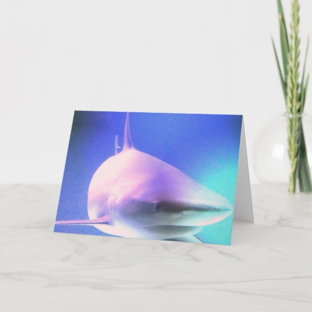 Cartão do tubarão do assassino (Frente)