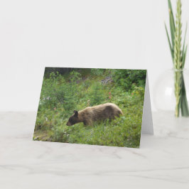 Cartão do urso