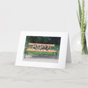 Cartão do urso do Bingo