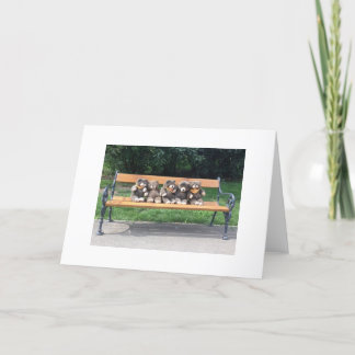 Cartão do urso do Bingo