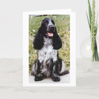 Cartão do vazio do cão de cocker spaniel do inglês