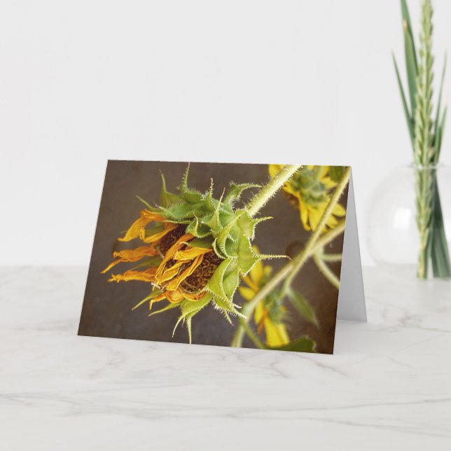 Cartão do vazio do ciclo do verão (Frente)