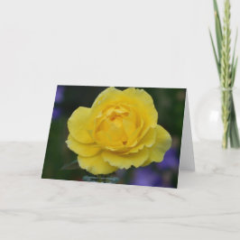 Cartão do vazio do rosa amarelo
