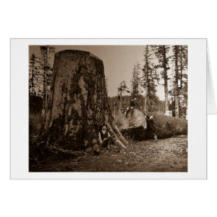 Cartão Do vintage dos lenhador corrediça 1903 de lanterna