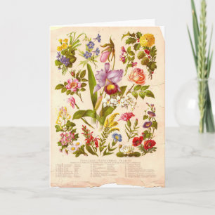 Cartão do Wildflower do vintage