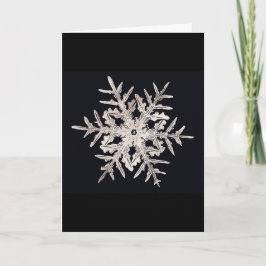 Cartão do Xmas do gênio de Bentley do floco de