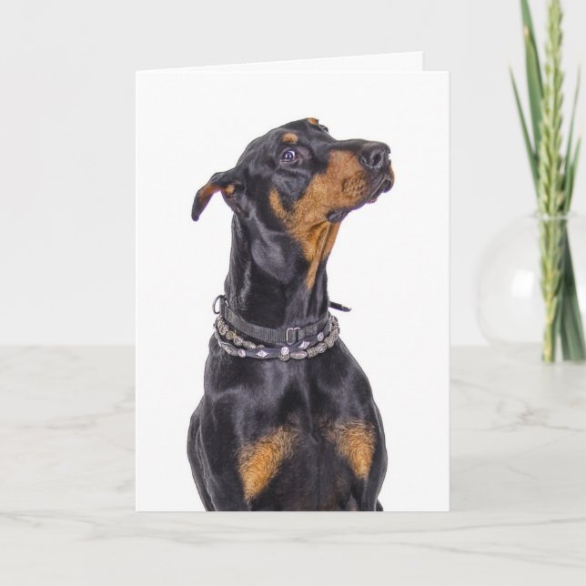 Cartão Doberman com olhar Sneaky quem mim? (Frente)