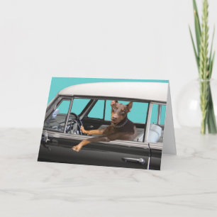 Cartão Doberman Pinscher Driving Classic Car