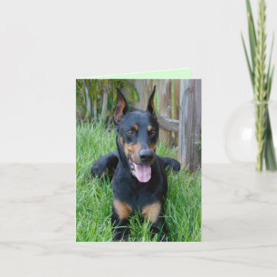Cartão Doberman Pinscher Puppy Dog Blank Note Card