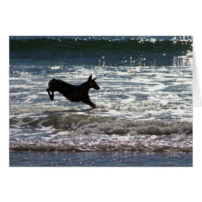 Cartão Doberman - preto - pulo do oceano (Frente Horizontal)