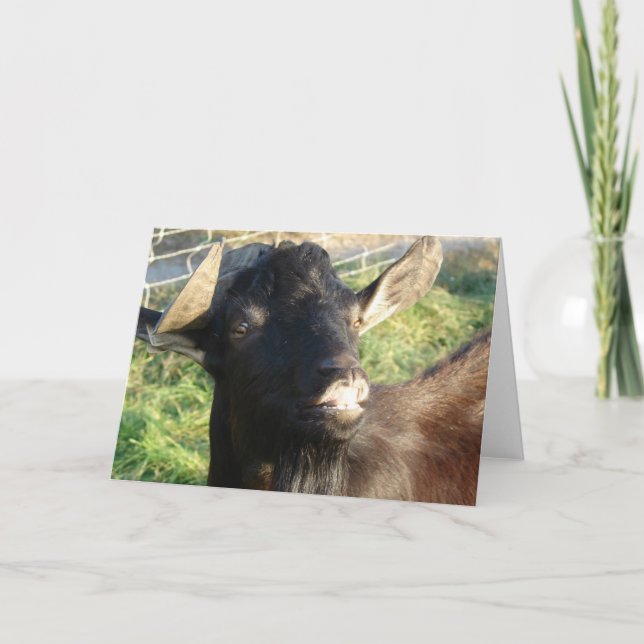 Cartão Dobie, o Billy Alpino (Frente)