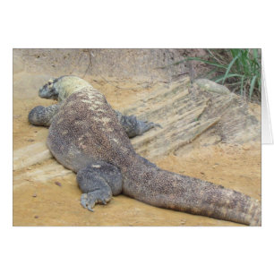 Cartão Dobrado do Dragão Komodo