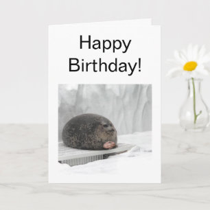 Cartão Dobrado Julgando Memória de Fecho