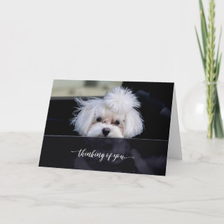 Cartão Dobrado Pensando em Você