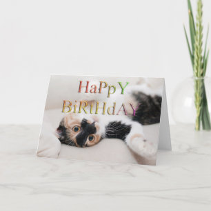Cartão Doce gatinho feliz aniversário
