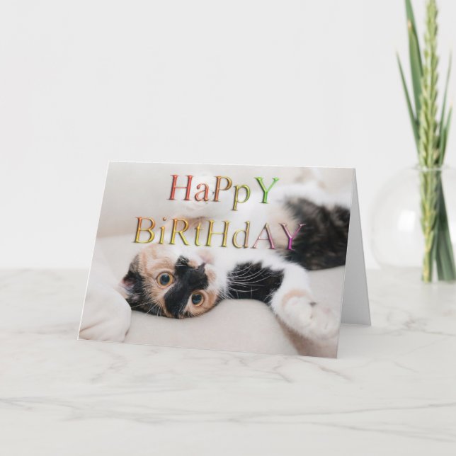 Cartão Doce gatinho feliz aniversário (Frente)