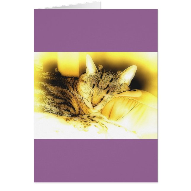 Cartão Doce Pequeno Indigo (Frente)