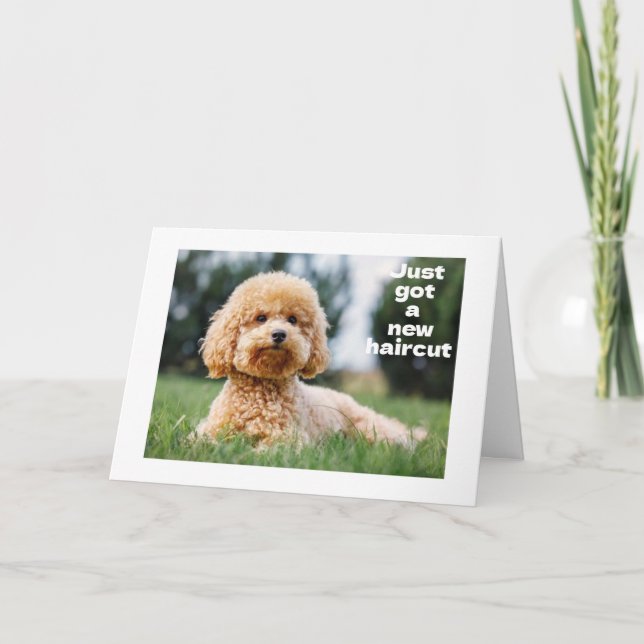 Cartão DOCE TEDDY BEAR diz "FELIZ "60 ANOS" (Frente)