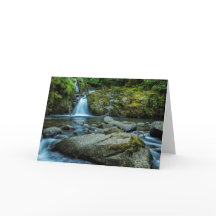 Doces Cachos de Creek