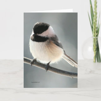 Cartão Doces Chickadee
