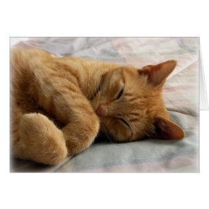 Cartão Doces Sonhos