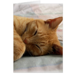 Cartão Doces Sonhos