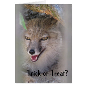 Cartão Doçura ou travessura?