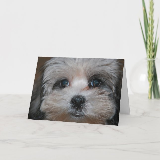 Cartão Doçura personificada (Frente)