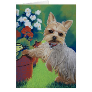 Cartão Doçura Yorkie