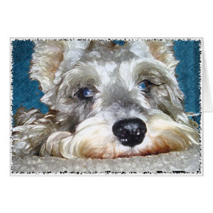 Cartão DOD: Mini Schnauzer alemão tão bonito