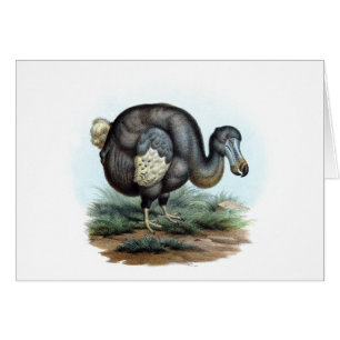 Cartão Dodo (cucullatus do Raphus)