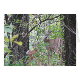 Cartão Doe e sua Fawn