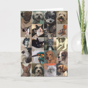 Cartão Dog And Cat Greeting Card