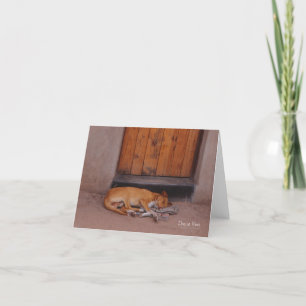 Cartão Dog at Rest note card