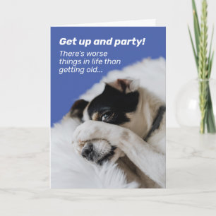 Cartão Dog Hiding Face - There's Worse Things Birthday