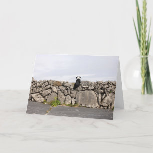Cartão Dog sitting on a traditional Irish stone wall on