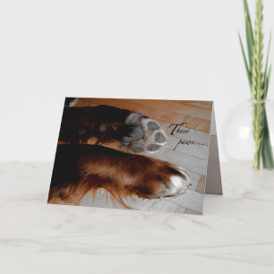 Cartão Dog Sympathy card
