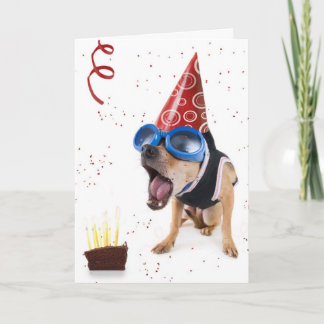 Cartão dogcake