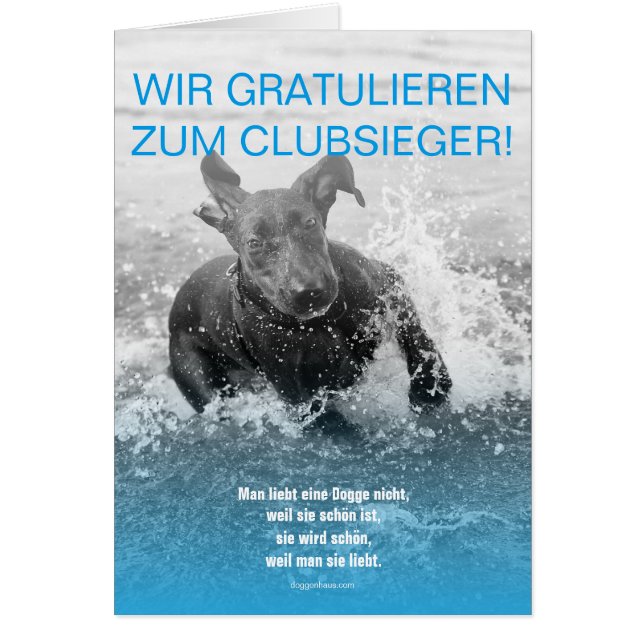 Cartão Doggen Sieger Grußkarte (Frente)