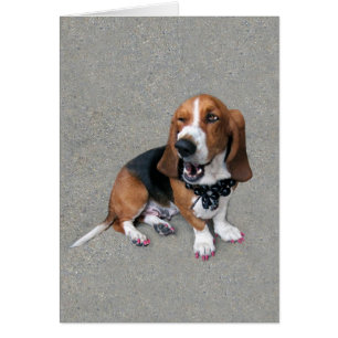 Cartão Doggone bonito