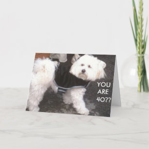 CARTÃO DOGONE, VOCÊ TEM 40 ANOS?