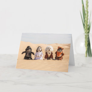 Cartão Dogs in Costumes Card