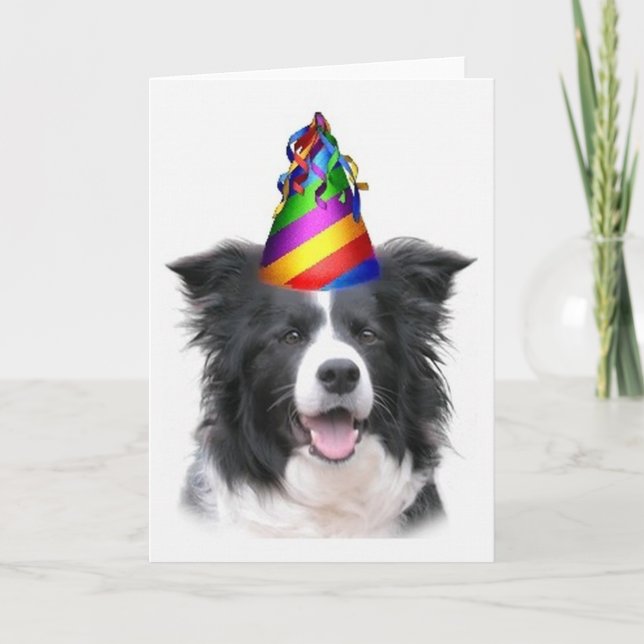 Cartão Dogs~Original Ditzy Notecard~Border Collie~B'day (Frente)
