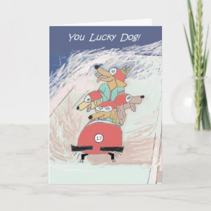 Cartão Dogsled - birthday card