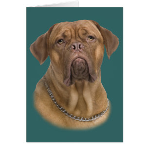Cartão Dogue De Bordeaux Portait
