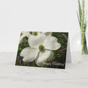 Cartão Dogwood Birthday