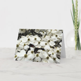 Cartão Dogwood Blossom floral greeting card