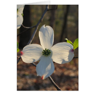 Cartão Dogwood Flor - Personalizado2